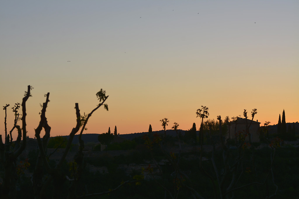 chateauneuf-tramonto